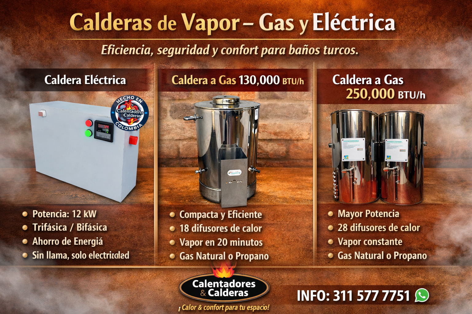 Caldera Industrial de Vapor